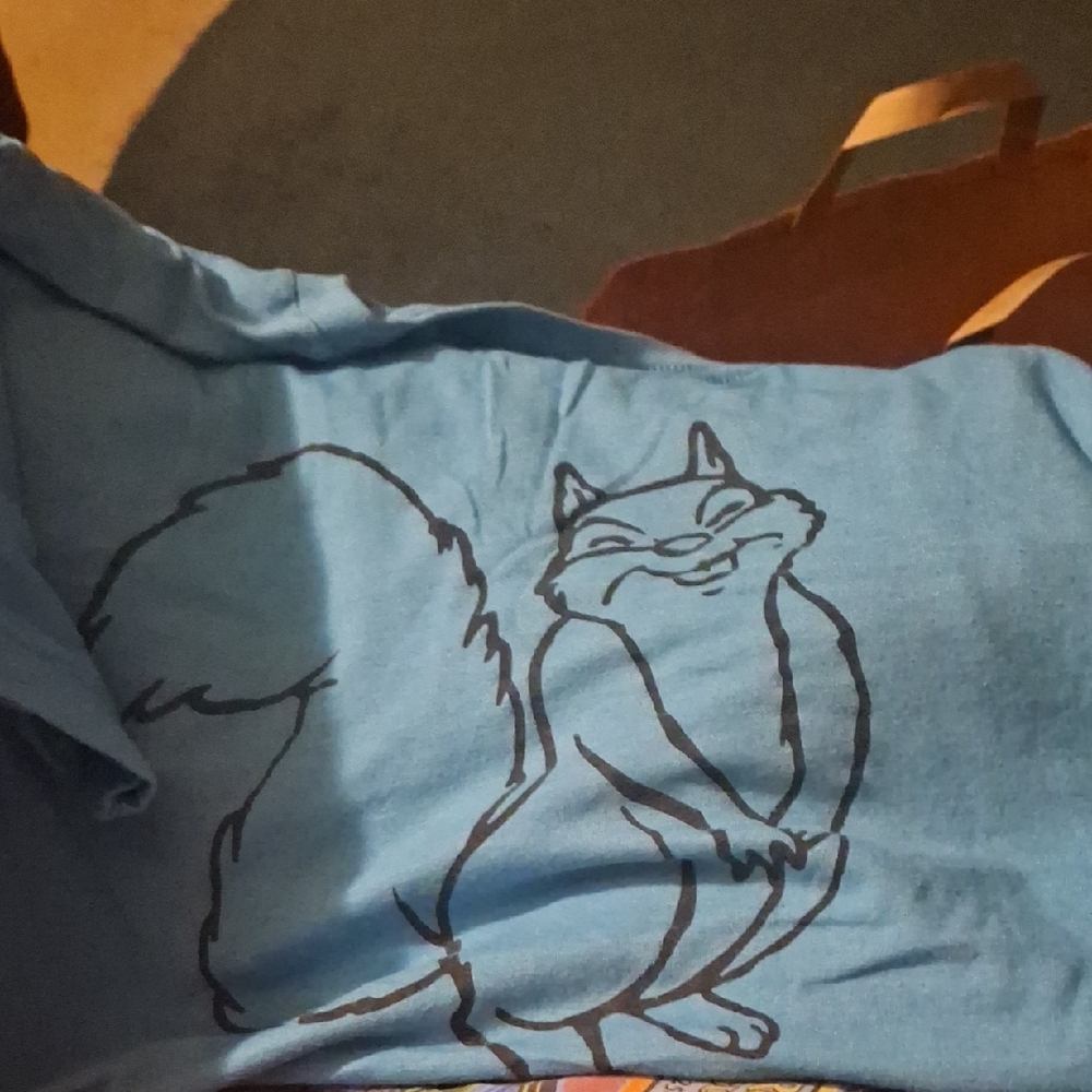 5 Shirt Lot